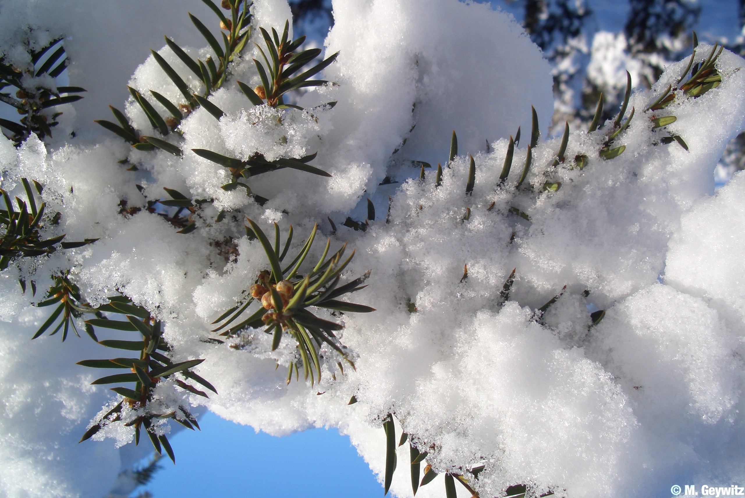 Winteridylle Illingen 2-09 (69)