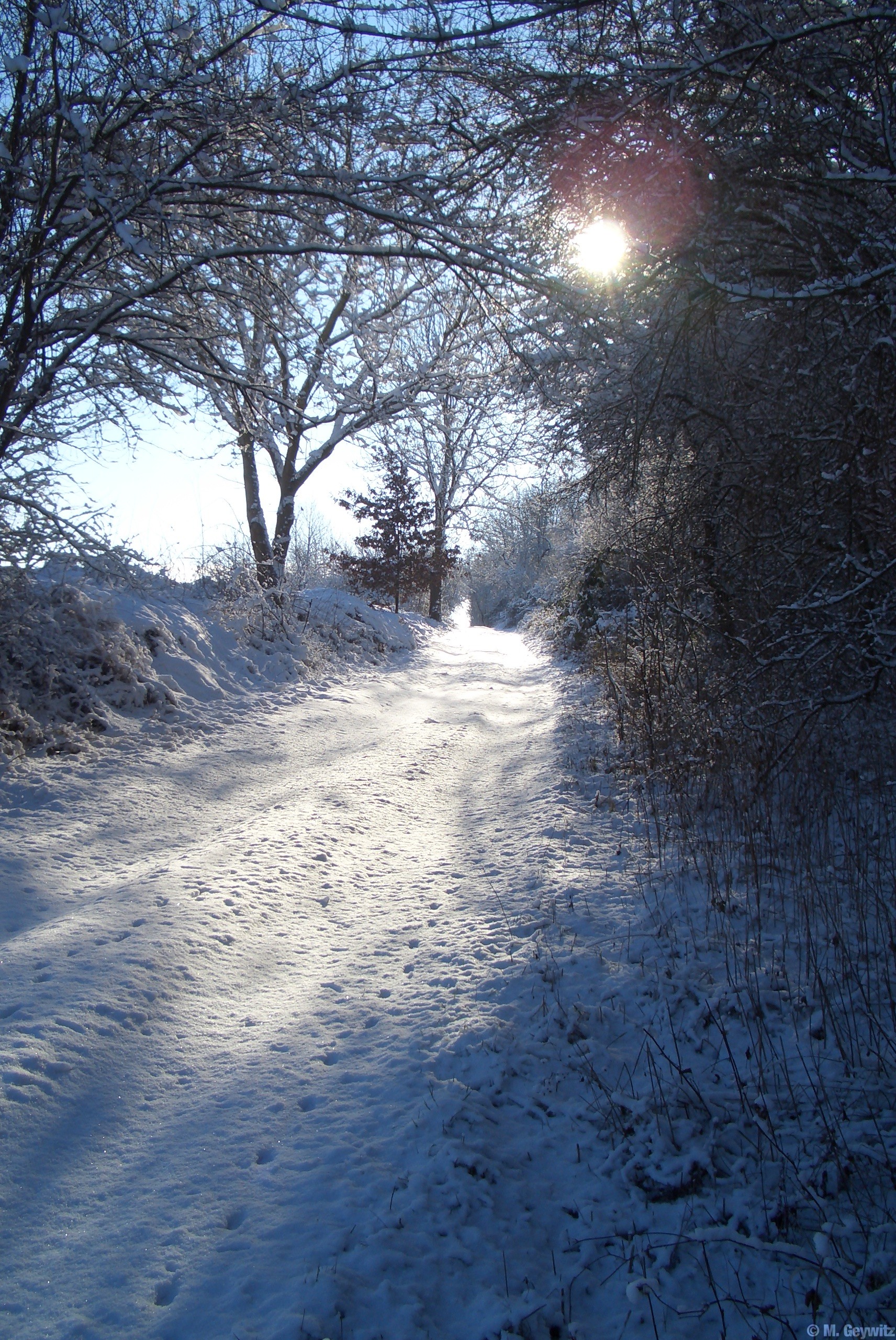 Winteridylle Illingen 2-09 (78)