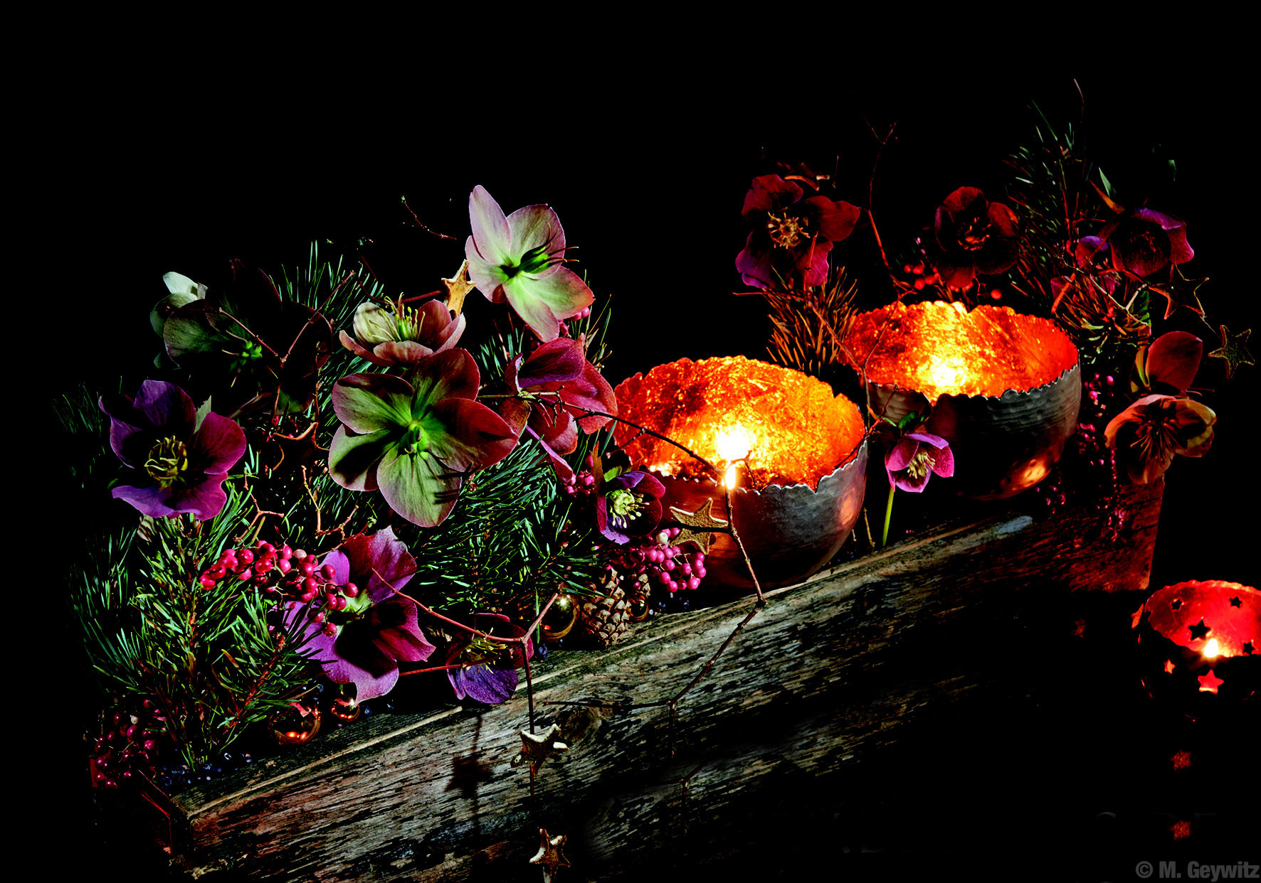 Bell-Arte in Blooms 2014