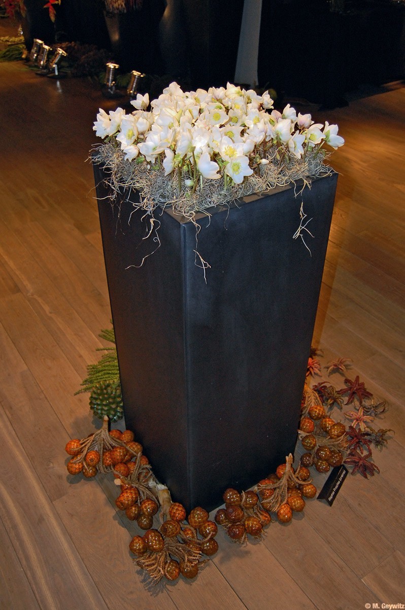 CH-Ausstellung Sunflor 08 (1)
