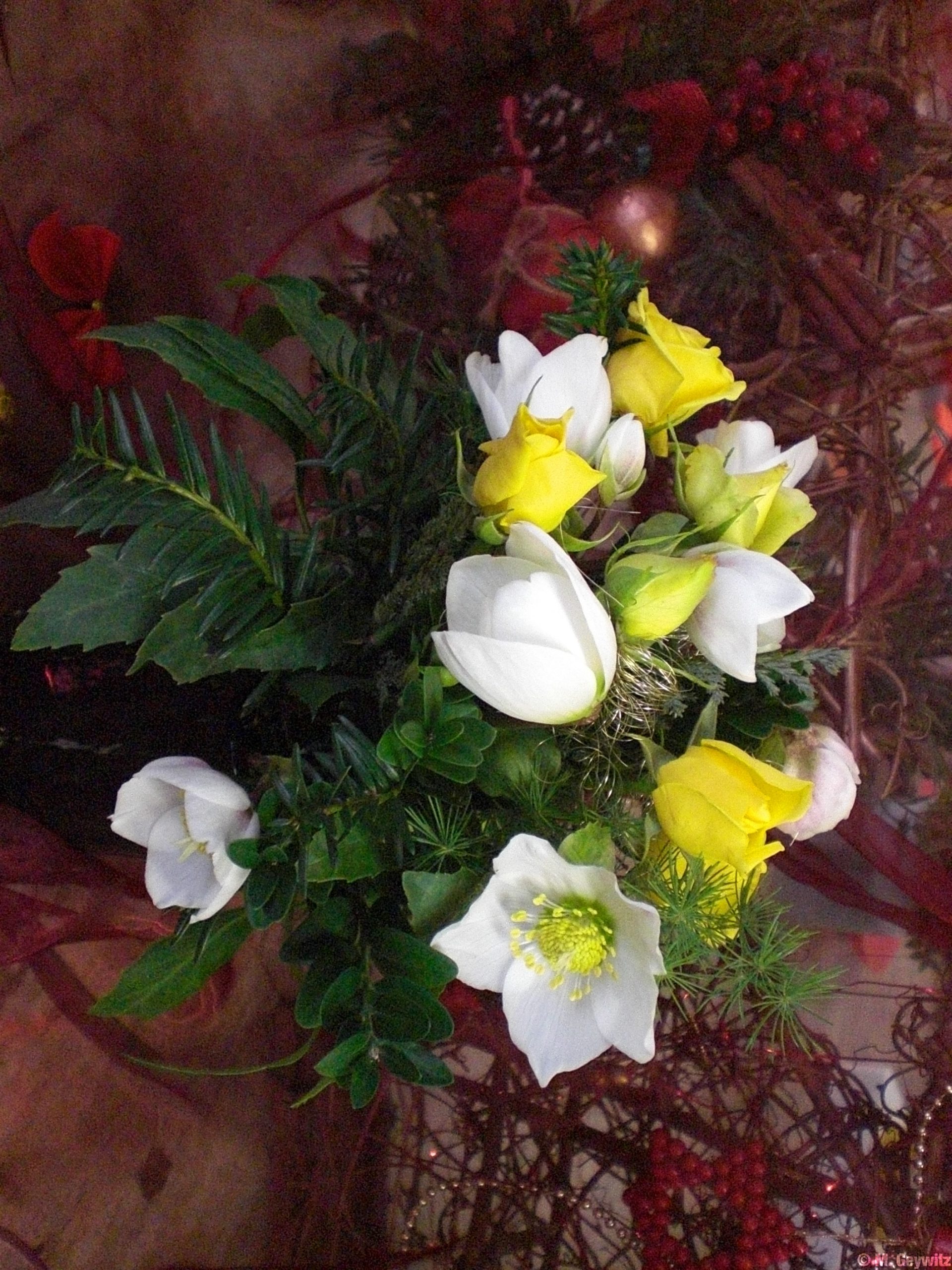 Florales 12-09 025