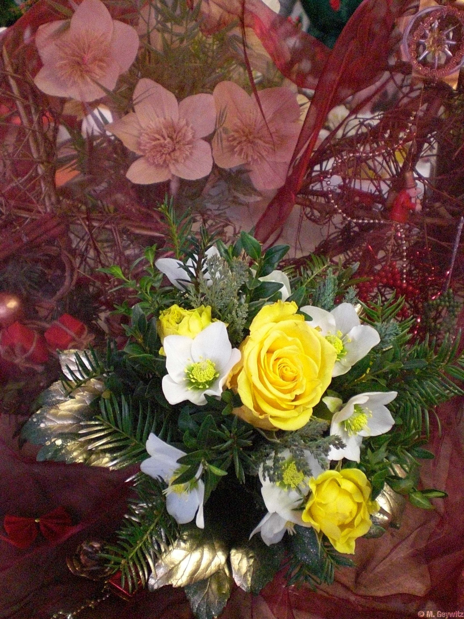 Florales 12-09 030