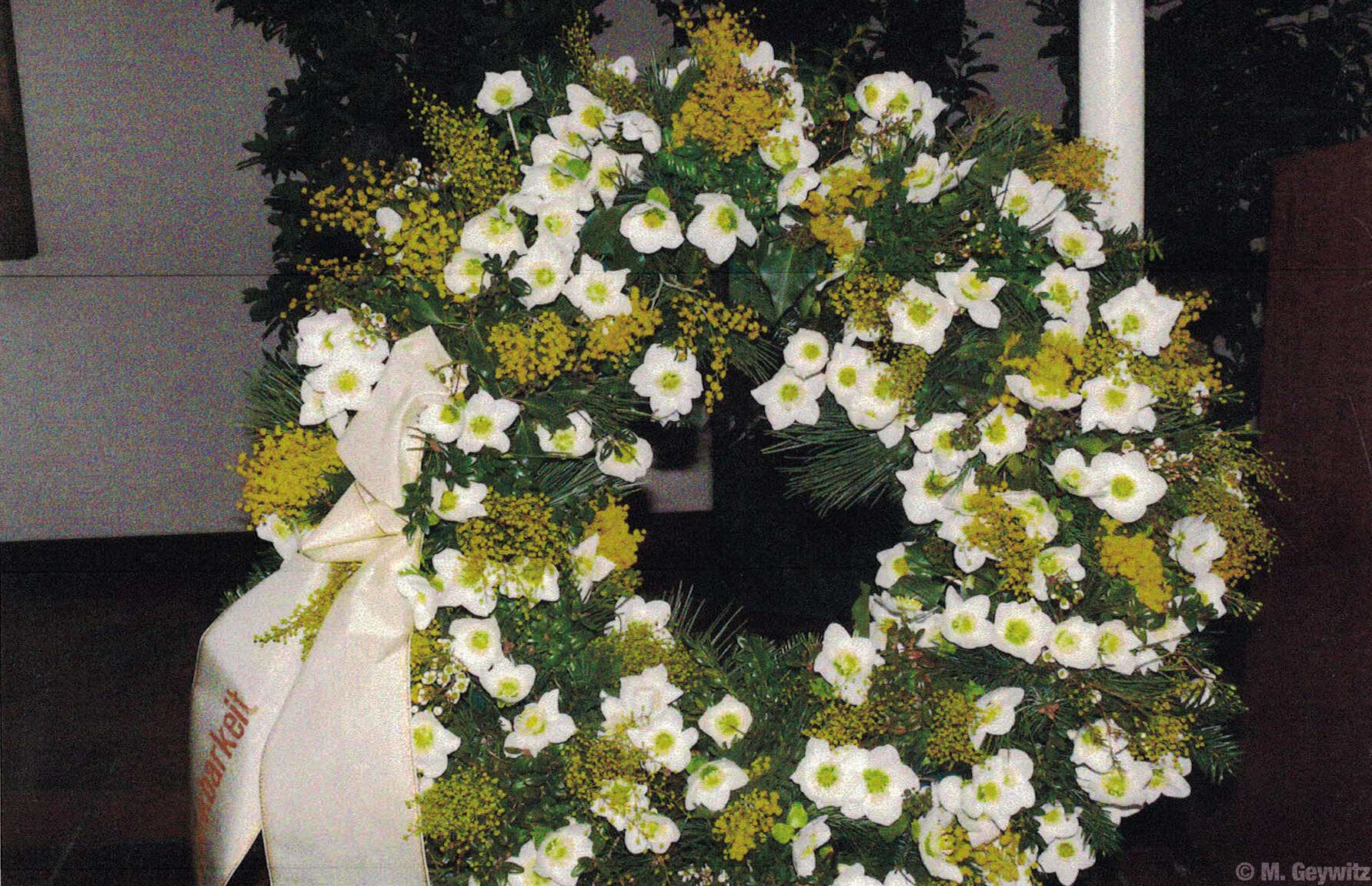 Helleborus-Kranz