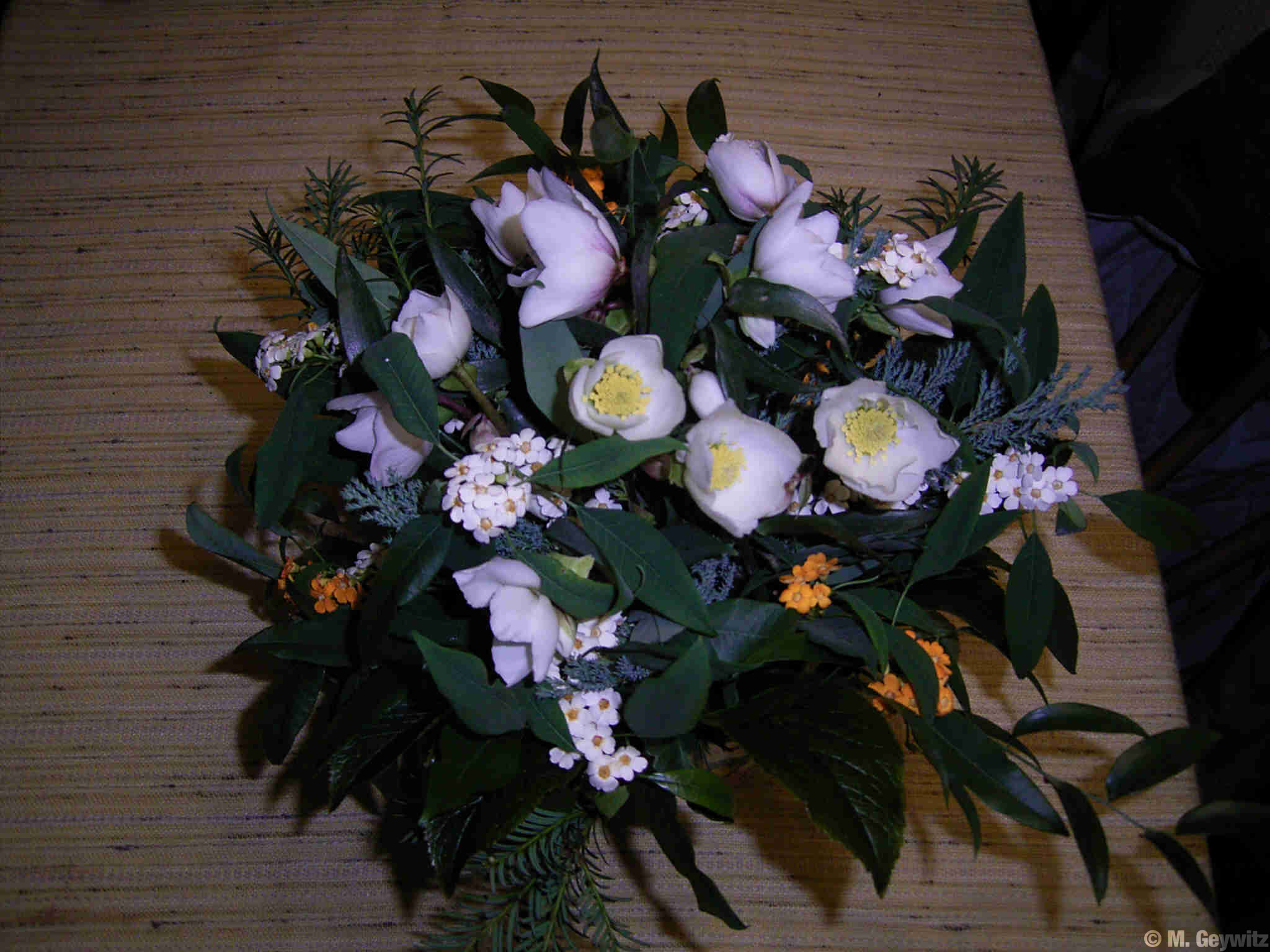 Strauß-Omi-dkl-04