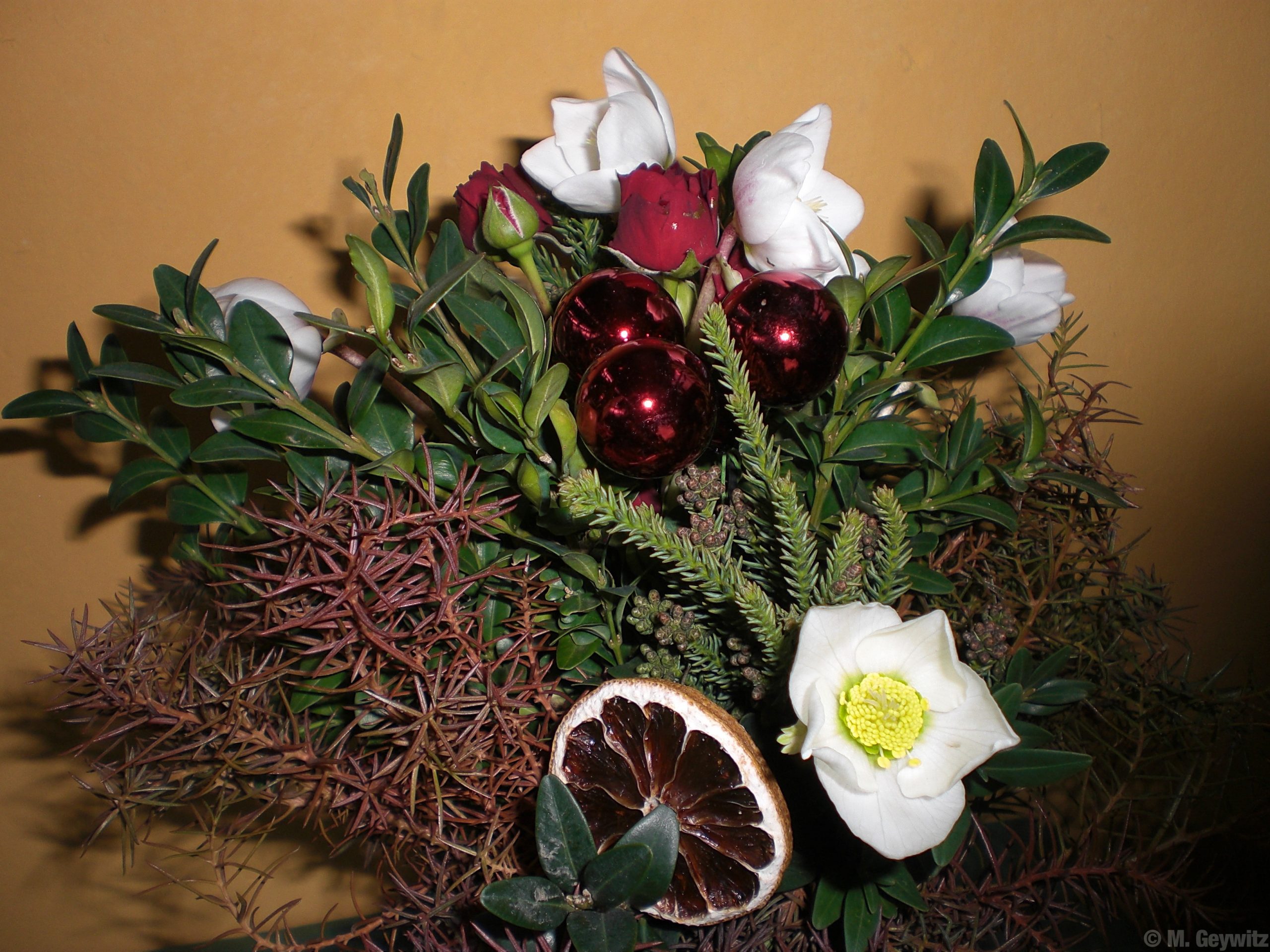 für Florales 2010 (3)